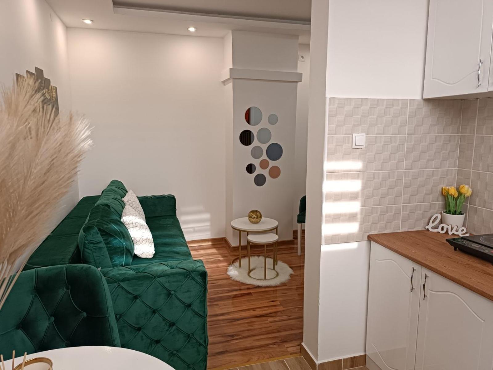Leptir Free Parking Novi Sad